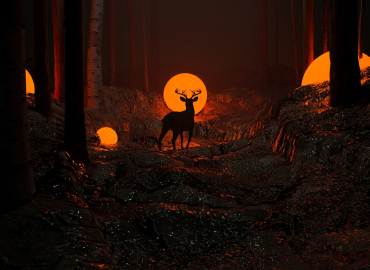 Odoo Coffee Case Study